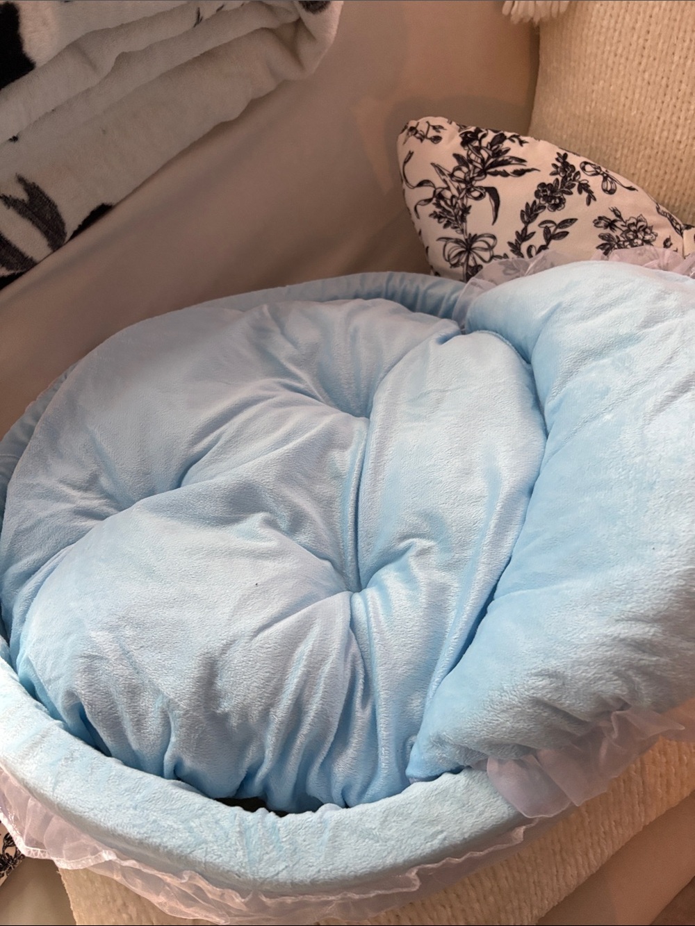Amazon Plush Light Blue Round Pet Bed with Soft Cushion